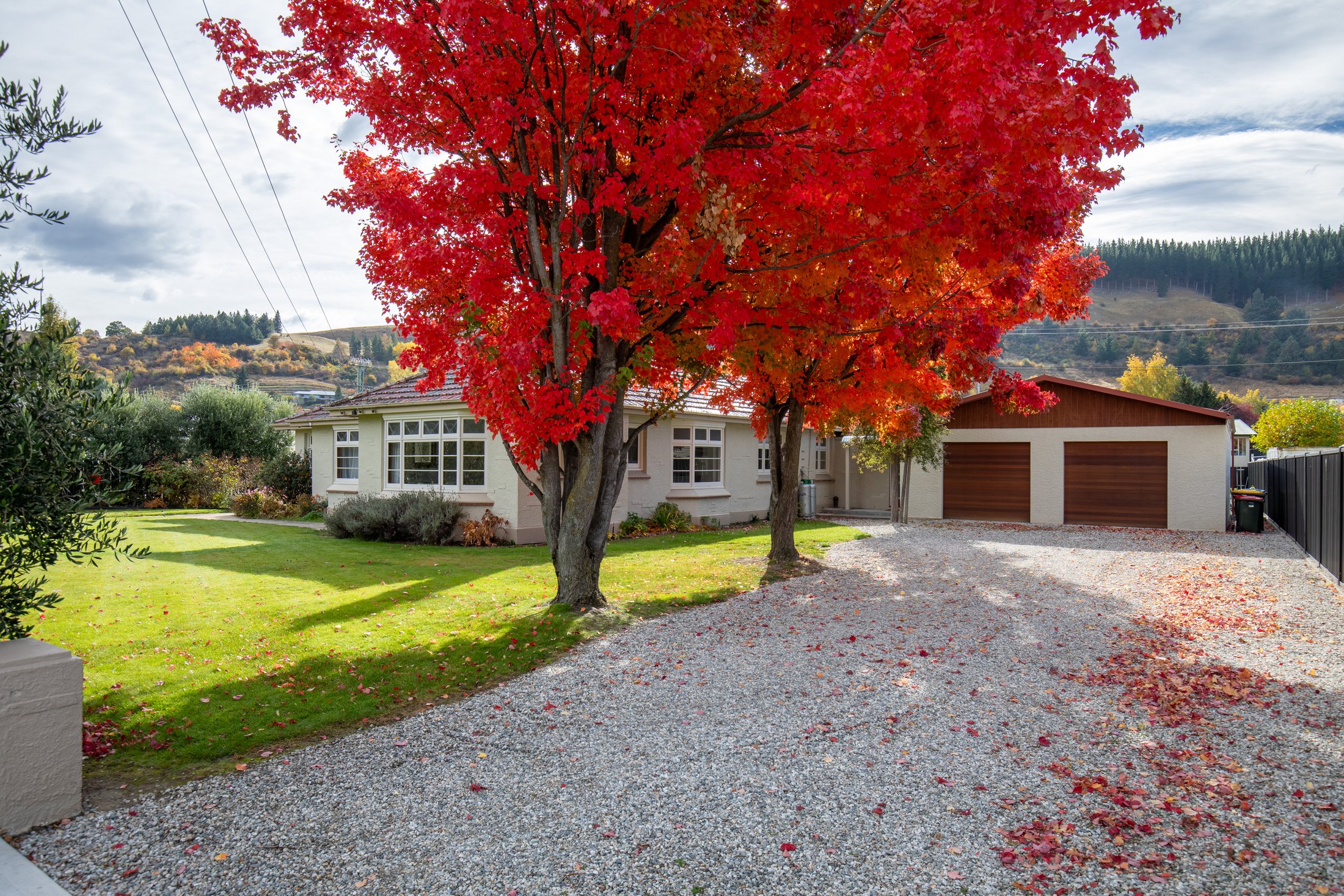 Bright exterior of Clyde on Sunderland with leafy trees and driveway